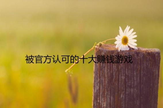 被官方认可的十大赚钱游戏，这几款都是不可错过的哦